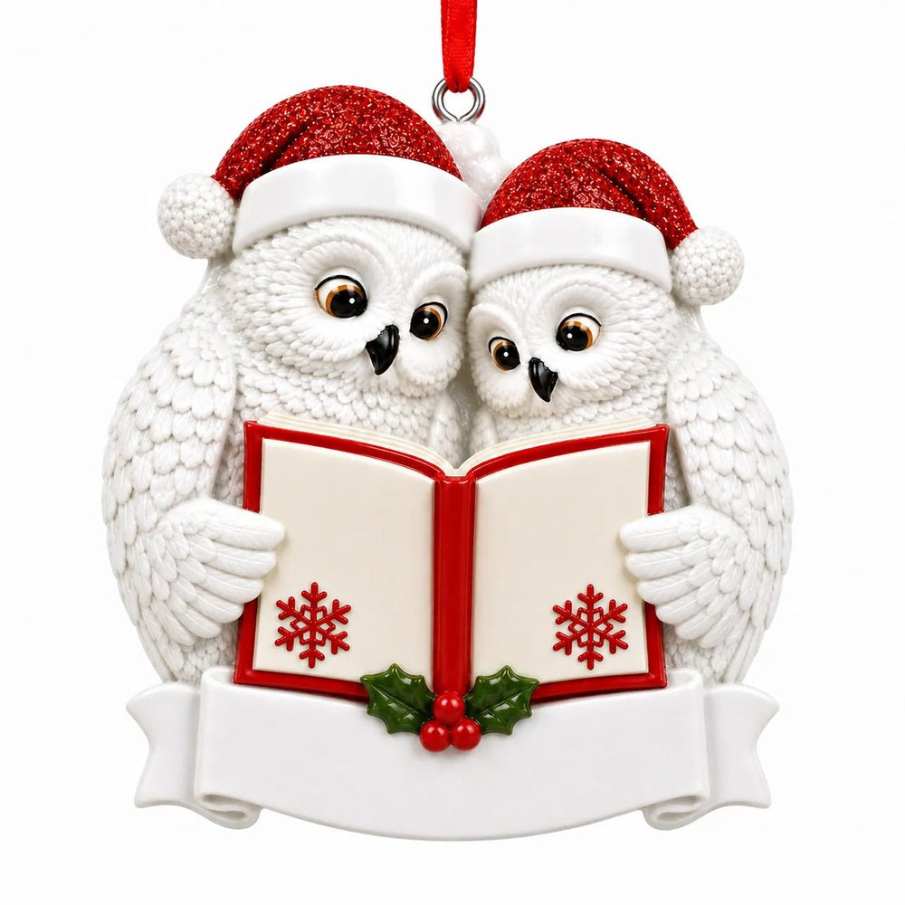 Snowy Owl Couple Reading a Book Christmas Ornament - WholesaleOrnaments