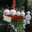 Family Member Christmas Ornaments #